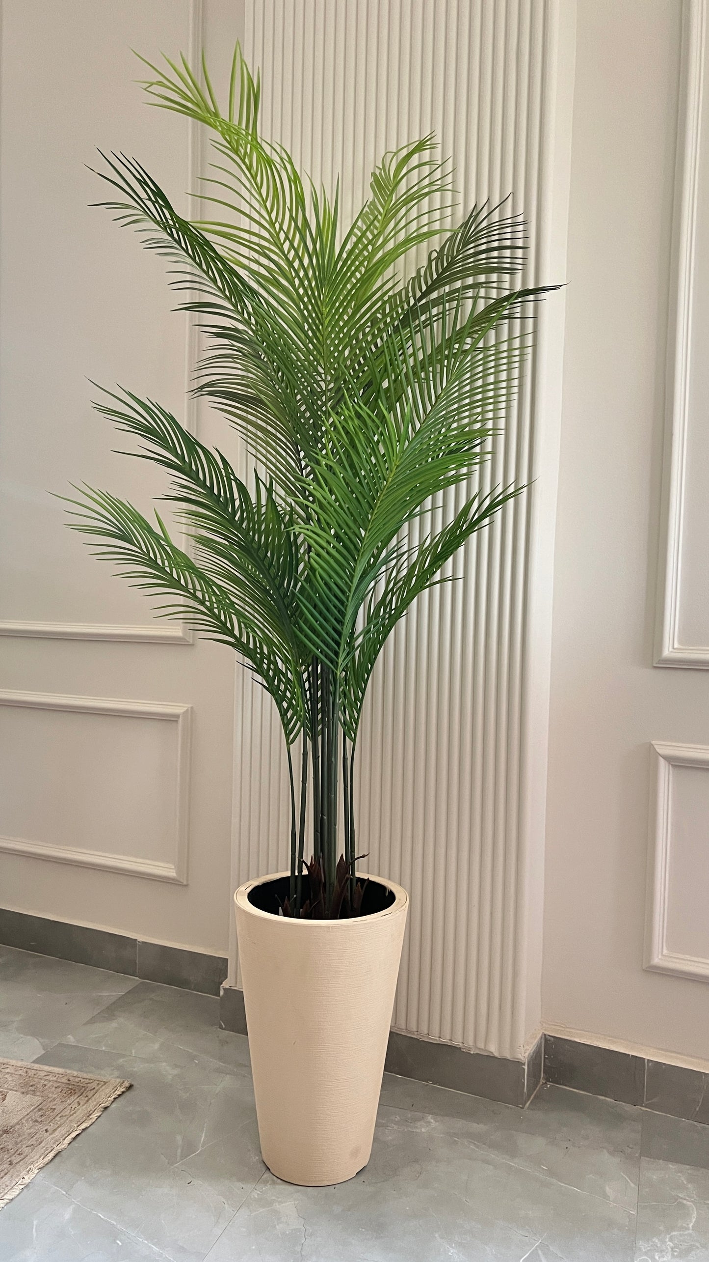 Areca Palm