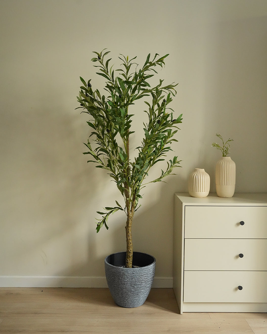 Olive Tree