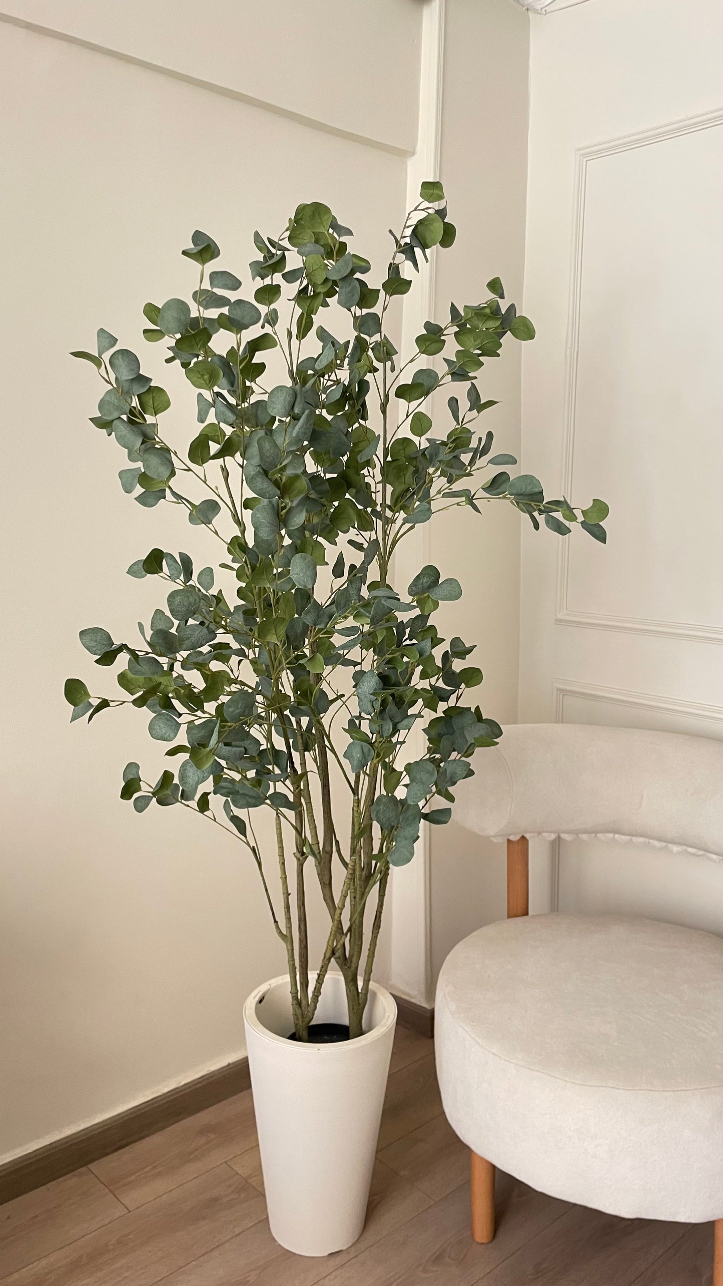 Bauhinia Tree
