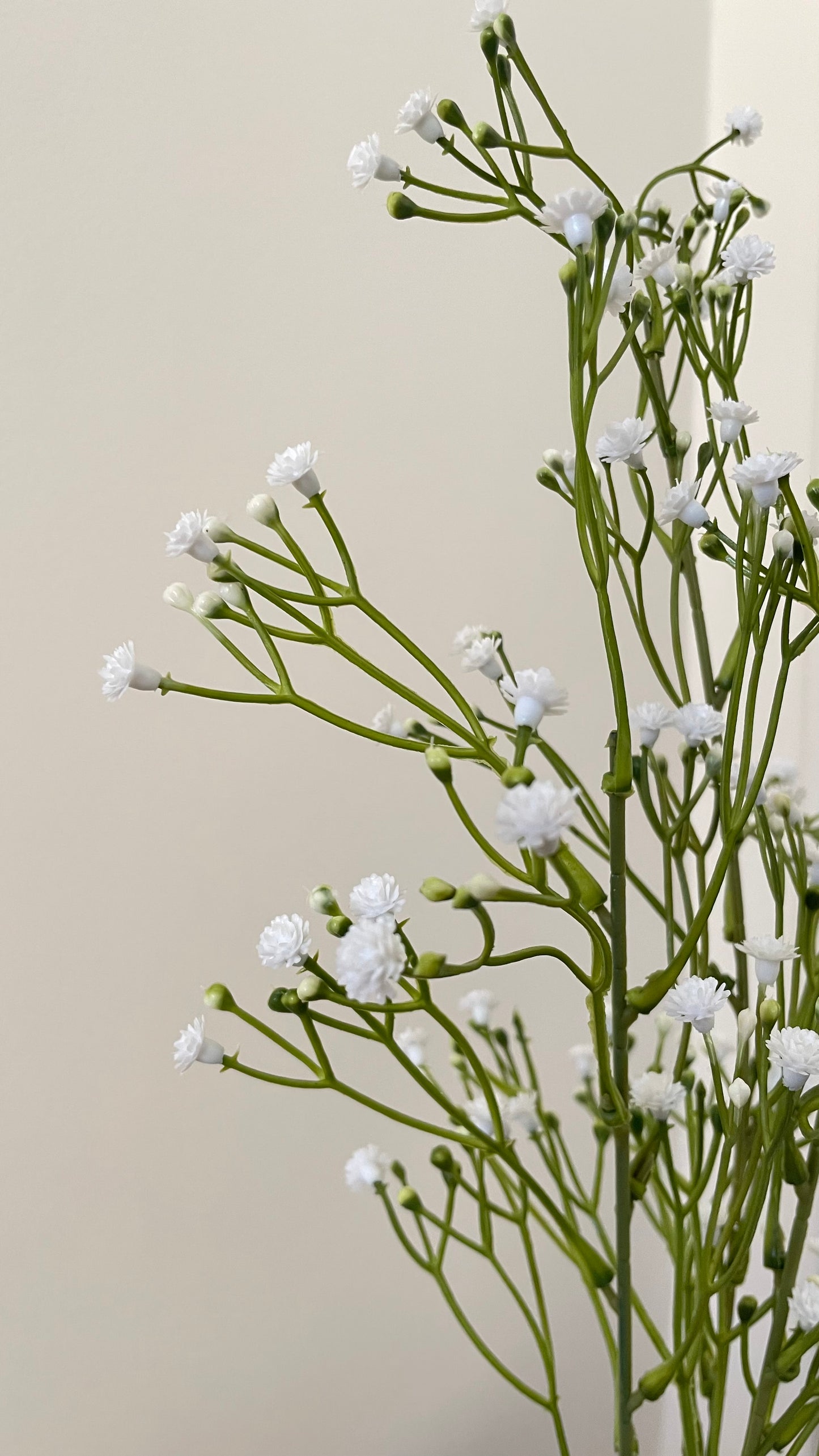 Silken Grace