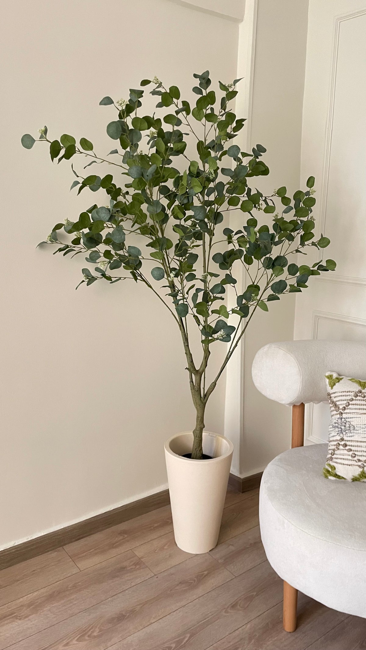 Bauhinia Tree