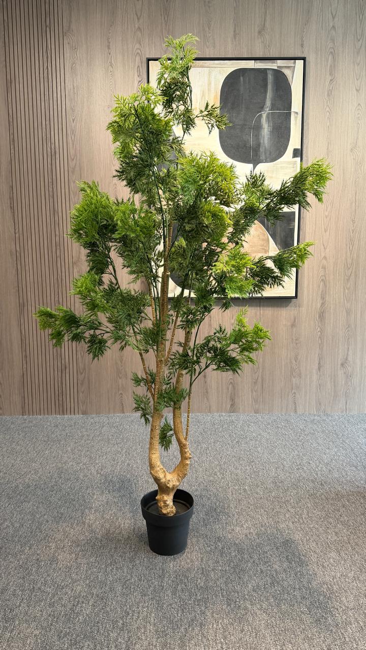 Crest Tree