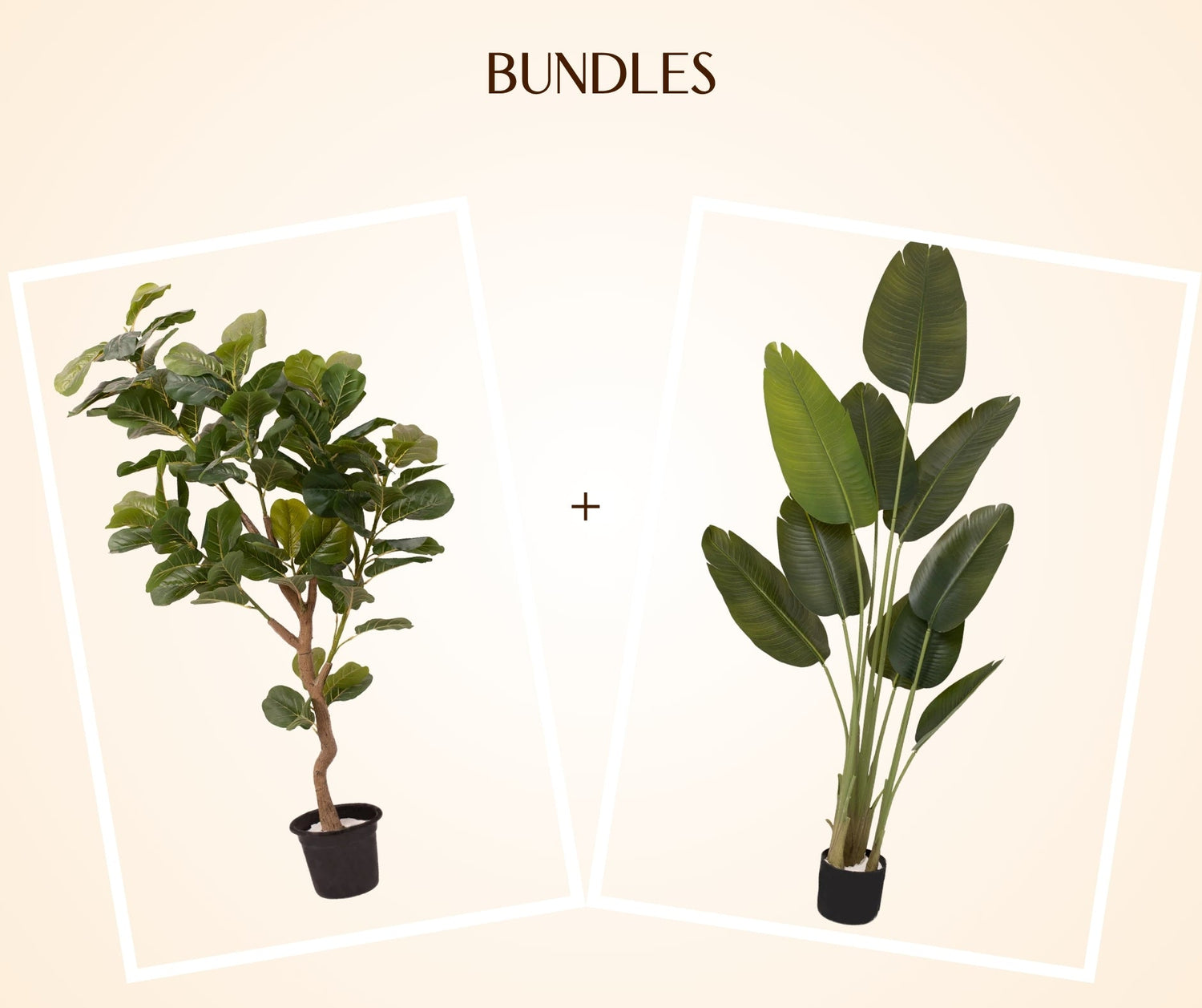 Bundles