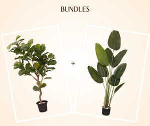 Bundles