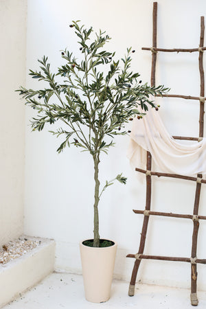 Artificial Plants & Pots
