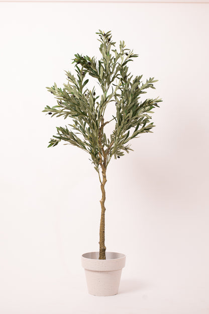 Cone Pot in White