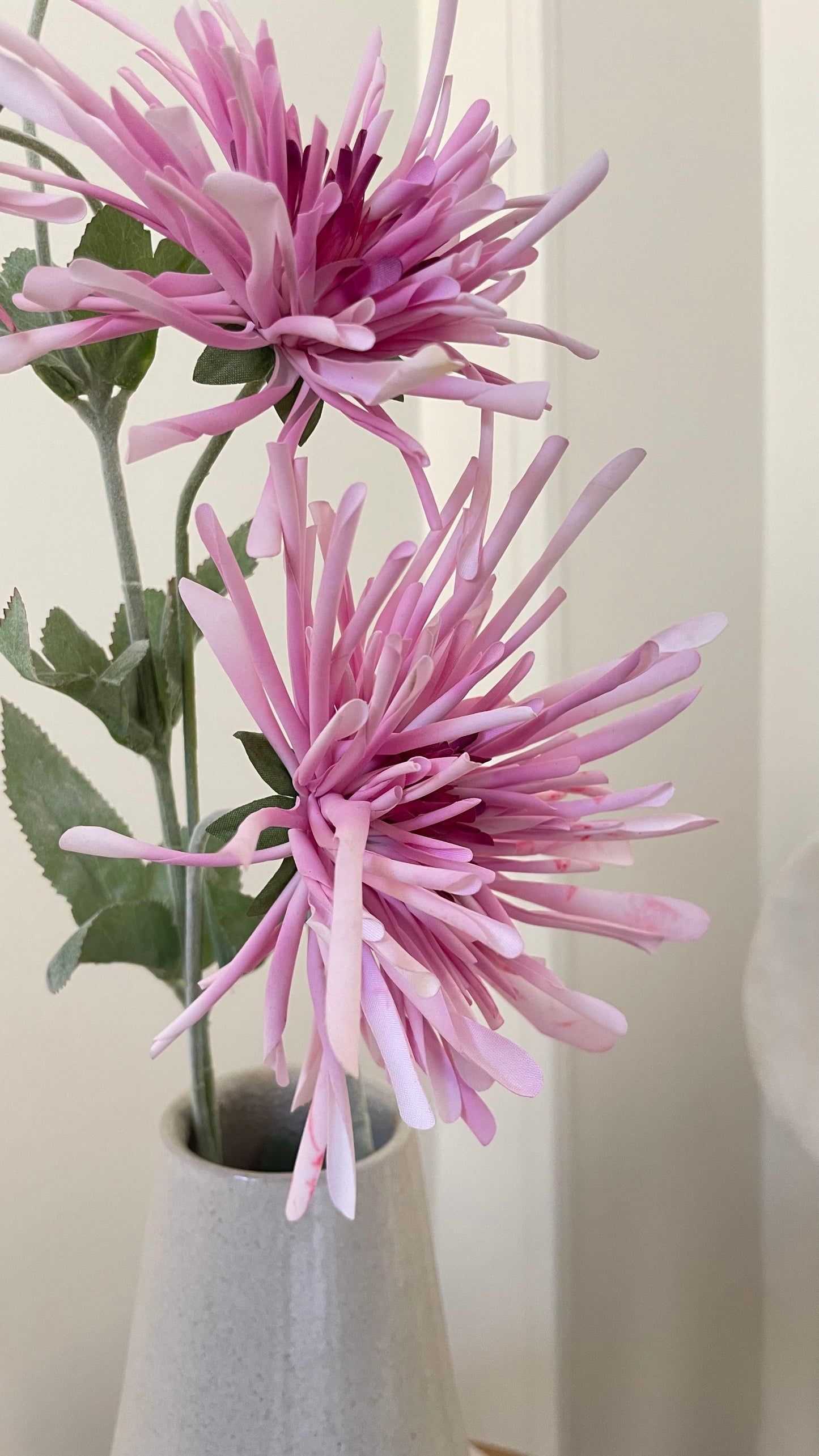 Velvet Petal