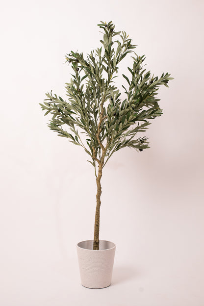 Basic Pot In White