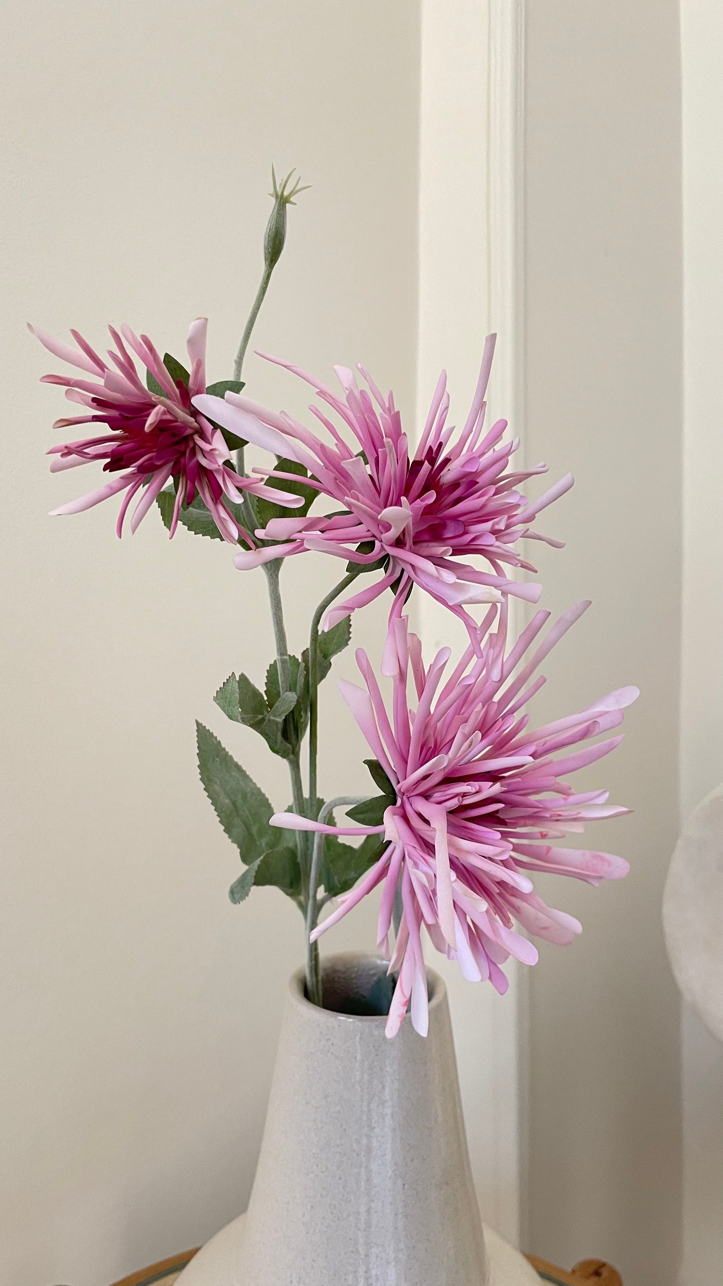 Velvet Petal