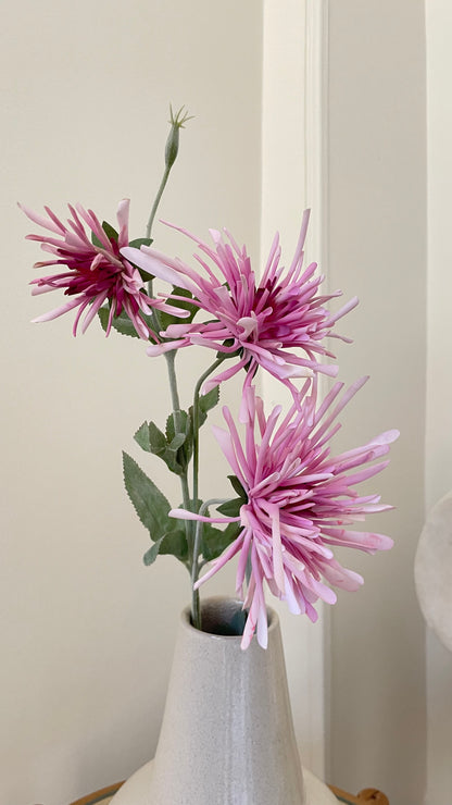 Velvet Petal