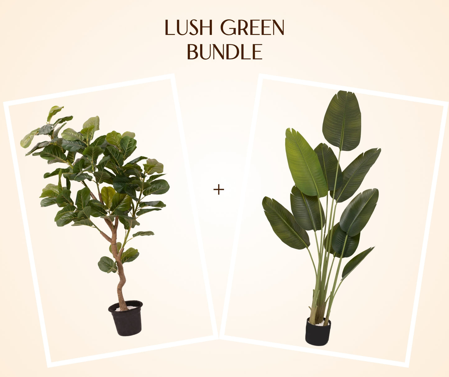 Lush Green Bundle