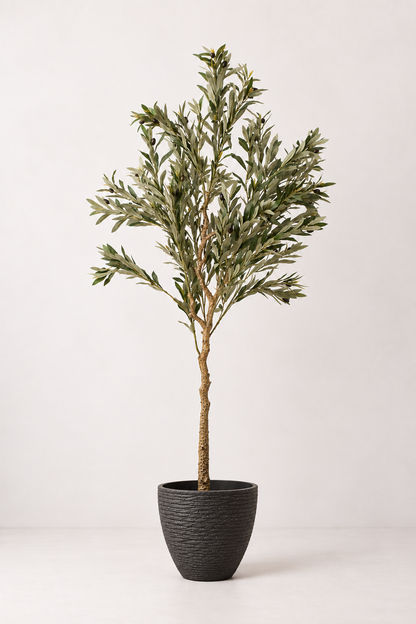 Cone Pot in Black