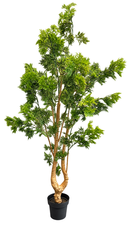 Crest Tree