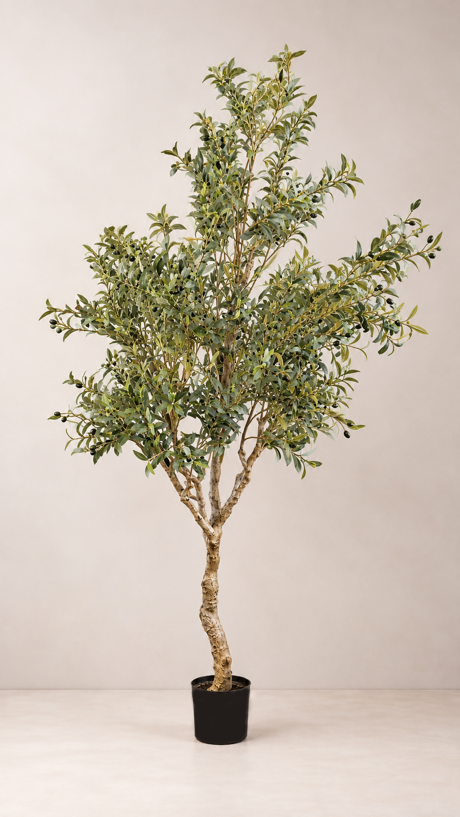 Olive Tree Large