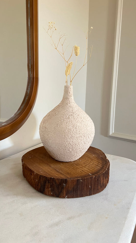 🎁 Faya vase (100% off)