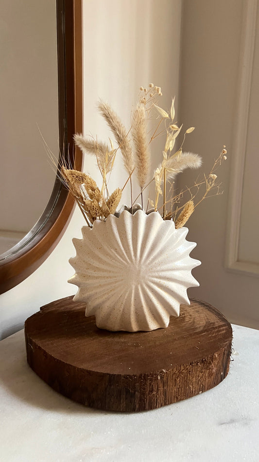 🎁 Shell Vase (100% off)