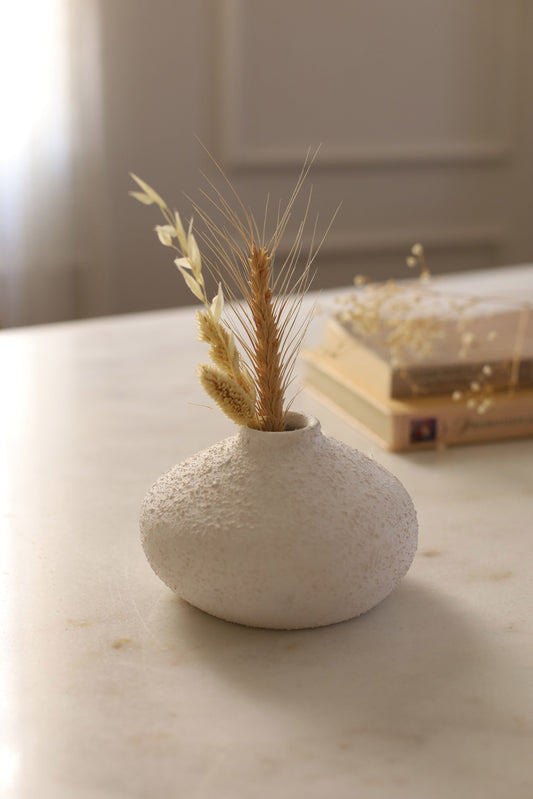 🎁 Opal Vase (100% off)