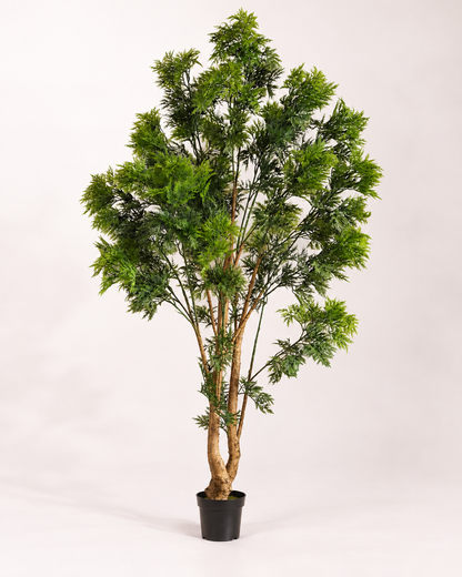 Crest Tree